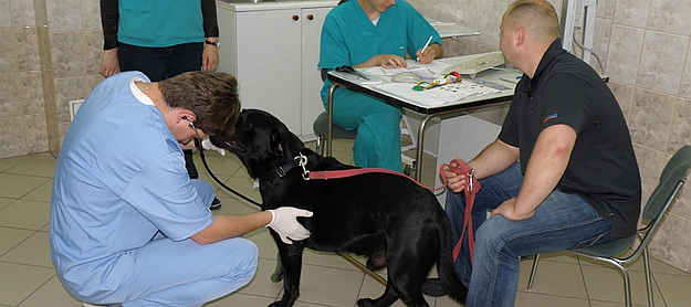Zagadnienia egzaminacyjne z dziedziny Choroby Wewnętrzne Psów i Kotów na rok akademicki 2013-2014
