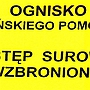 Afrykański pomór świń w Polsce