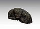 Mózg Człowieka - Obraz 3D