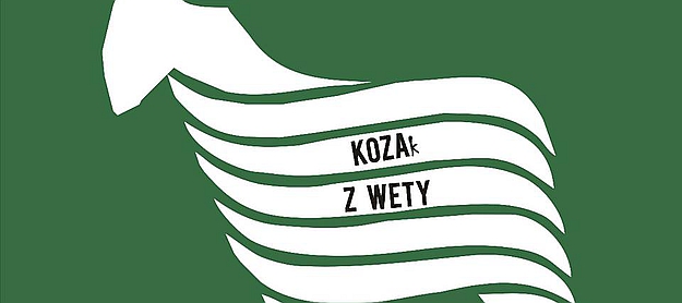 Koszulki kortowiadowe
