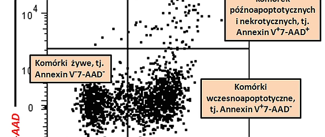 Wprowadzenie do cytometrii przepływowej, Tomasz Maślanka